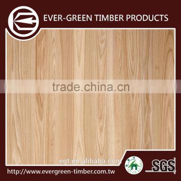 4x8 size elm furniture plywood for plywood hot press