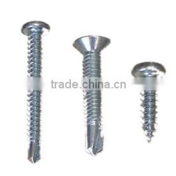 Self-Tapping/Drilling Screws