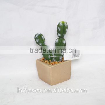Mini Cactus with cement pot for decoration