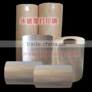 Jetyoung Inkjet water transfer printing film, inkjet hydrographic printing film.