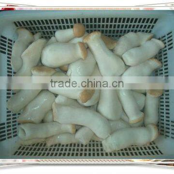 top quality pleurotus eryngii