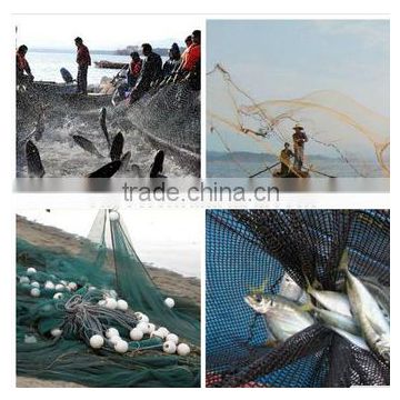 bird net / BOP net /Trellis net/ fishing net, buy fishing net roll/  multifilament material fishing net ,Sardines Fishing Net: 210D/4ply  *9-9,2mmsq*1000md*100m black,cast net mesh on China Suppliers Mobile -  138922887
