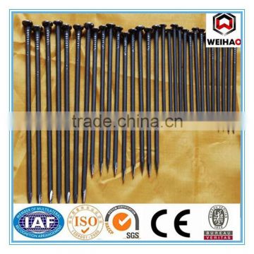 High Quality Common Round Iron Nails/Common Wire Nail
