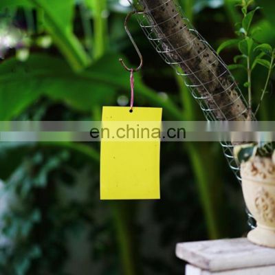 Double Side Sticky Fruit Fly and Fungus Gnat Trap Killer Hot Sale Factory Direct Low Price Free Sample Yellow 2 Years Summer