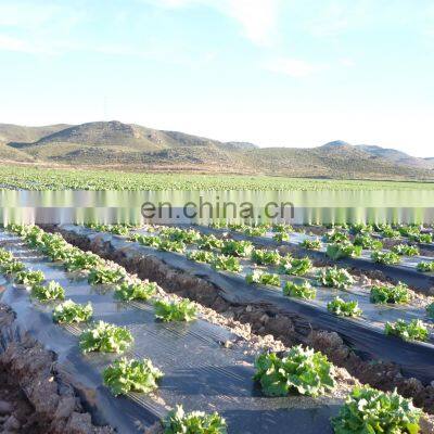 Agriculture biodegradable plastic weed control mat