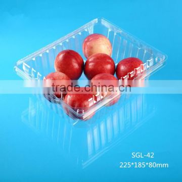 fold storage plastic fruit packaging box