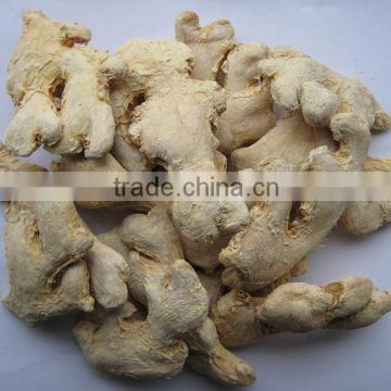 Exporter of dried ginger