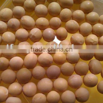 Yellow Soybean( 2010 crop, Heilongjiang Origin. high protein)