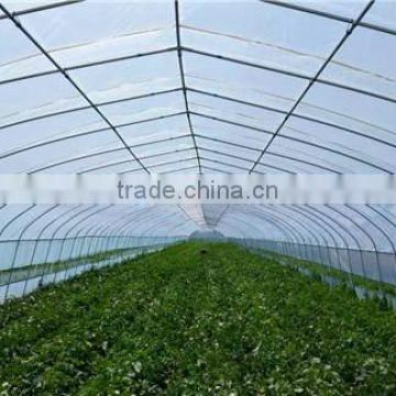 single span plastic film agricultural greenhouses for vegetable