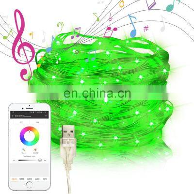 Holiday LED Christmas light with swirling glitter effect  APP control