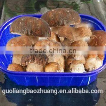 Guoliang Made Fresh Fish containters With Pad