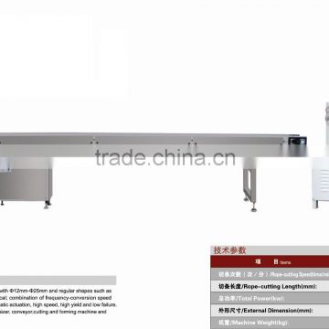 CY800 Multi-functional Rotary Cutting and Forming Production Line