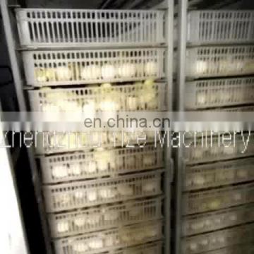 Automatic Poultry Egg Setter Incubator Hatcher for Sale