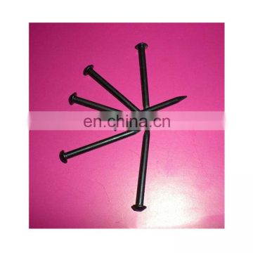 low price black file steel wire concrete nails in china