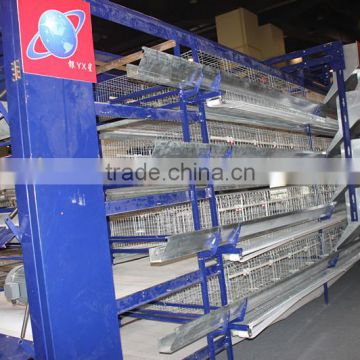 H type full automatic chicken cage for large farm layers
