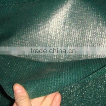 2016 the Hot sales 100gsm plastic agricultural shade net