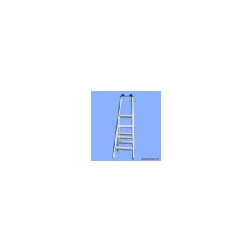 Sell Handrail Ladder