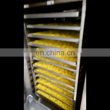Commercial Food Tray Drying Oven Machine Hot Air Circulating Stainless Steel Dryer In Stock
