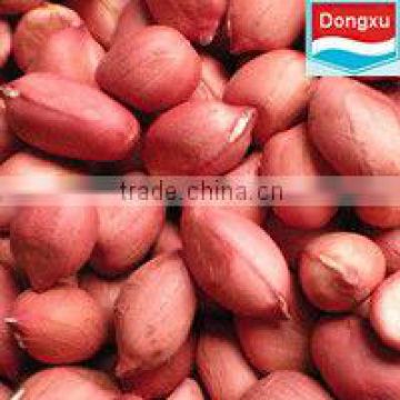 hot sale red peanut from china