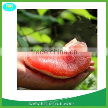 Best sweet red pomelo from Pinghe