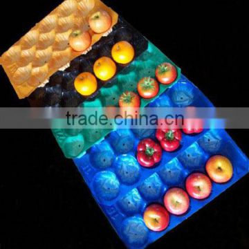 pp color fruit trays in different sizes