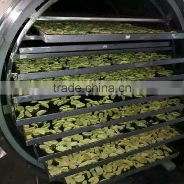 High Quality Food Industry Vacuum Freeze Drying Machine