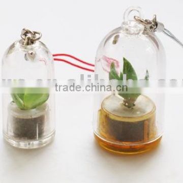 Plant Pet and Mini Plant key chain or Cell phone pendant