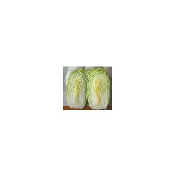 Sell Chinese Cabbage