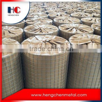 1/2 inch square hole welded wire mesh