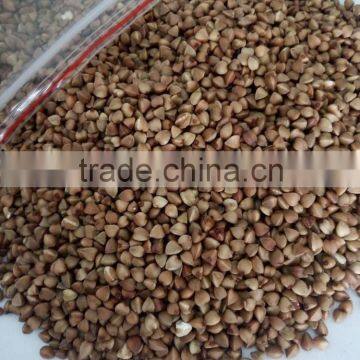 New Crop Chinese Roasted Buckwheat Kernel brown color small packing