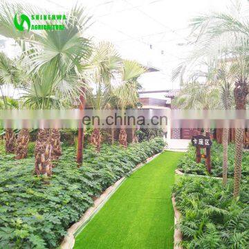 Agriculture Garden Glass Greenhouse For Restaurant