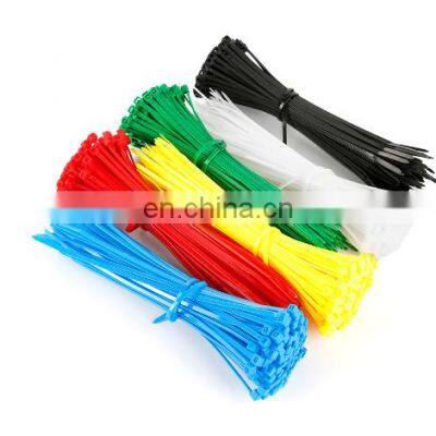 Multipurpose Color Self-locking Nylon Cable Ties High Quality