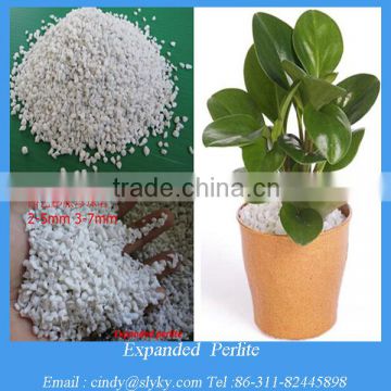 agricultural and horticultural perlite