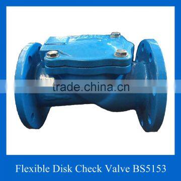 Spring Loaded Check Valve