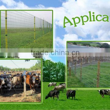 2.4*3.0mm Fence with galvanized steel wire( factory of producing steel wire)