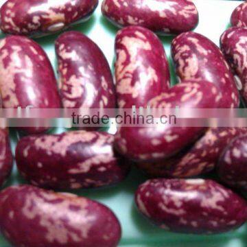 Chinese Purple Speckled Kidney Beans( 2010 crop, Heilongjiang Origin, Hps)