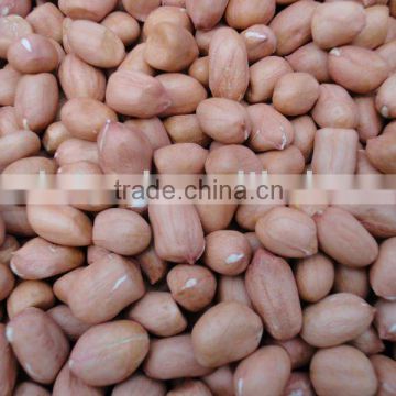 Supply Peanut Kernel and peanut in shell