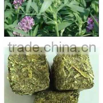 2016 High quality low price for sale extract alfalfa pellet