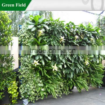 Greenfield hanging plant pots