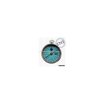 Flat Compass (1121)