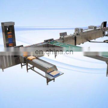 Automatic egg washing machine, egg grading machine,egg printing machine