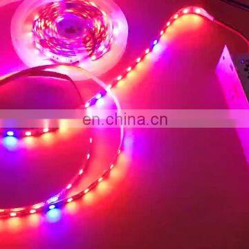 Full spectrum plant Grow LED Strip Light 5M 5050 LED Flower Plant  Growth lamps For Greenhouse Hydroponic Plant Growing
