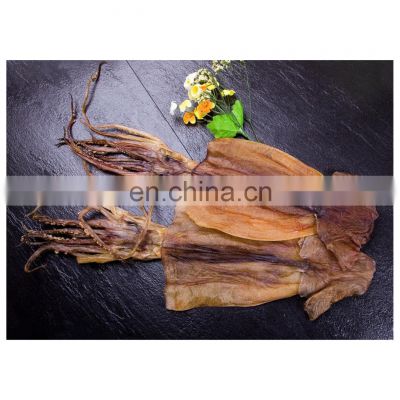 Hot sale frozen dried squid fillet for export