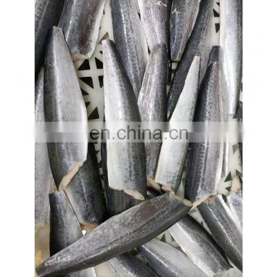 Single frozen Spanish Mackerel fillet for export