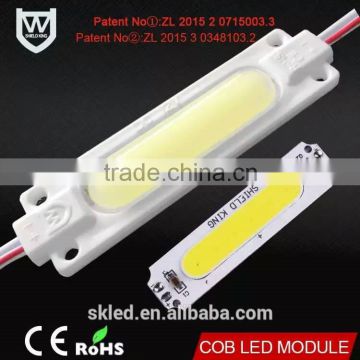 CE ROHS listed advertising light source IP65 waterproof cob 2W 1 chip led module injection module