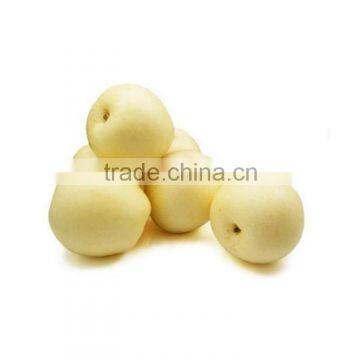 credible china products freshgolden pear