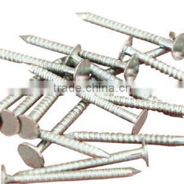 wood common nail/common iron nail/polished common nail factory nail low price