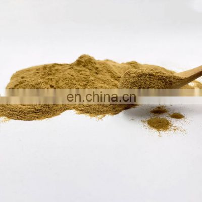 Maitake Mushroom Extract Powder Grifola Frondosa Polysaccharide 50%