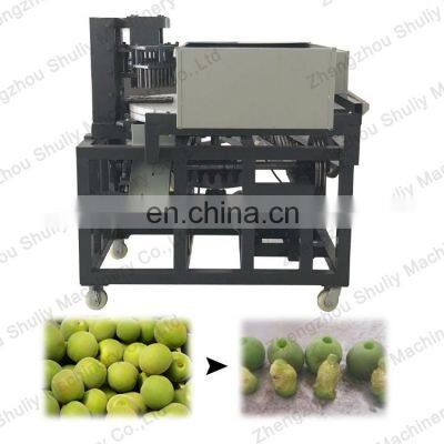 Prune Cherry Pitter Seed Remover Red Palm Dates Pitting Machine