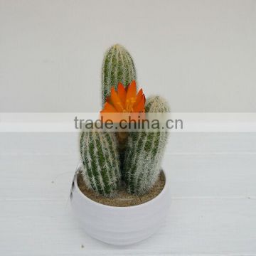 Hot sale artificial plants artificial cactus for indoor decoration